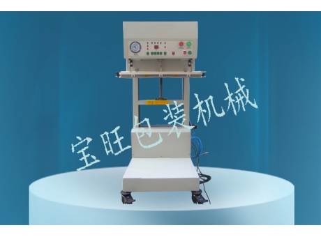 BW600LS立式外抽真空包裝機(jī)